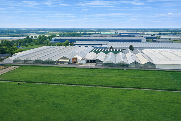 Medium property photo - Noorddammerweg 95A, 1187 ZS Amstelveen